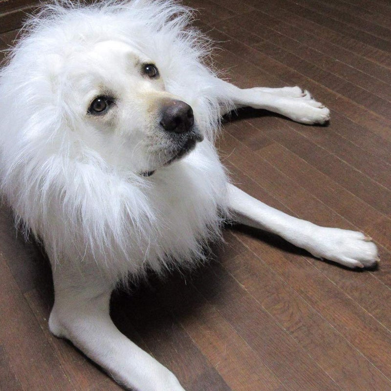 Vivifying Lion Mane Dog Costume, Adjustable Lion Wig with Faux Fur for Medium&Large Dogs, Halloween Dog Accessory Perfect for Parties, Photoshoots, and Role-Playing (Large, White) - Image 2
